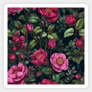 Wild Rose Pattern Sticker